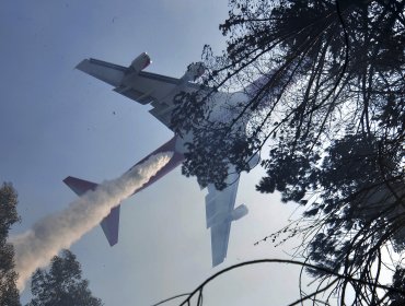 Avión ruso combatirá incendios forestales en Chile