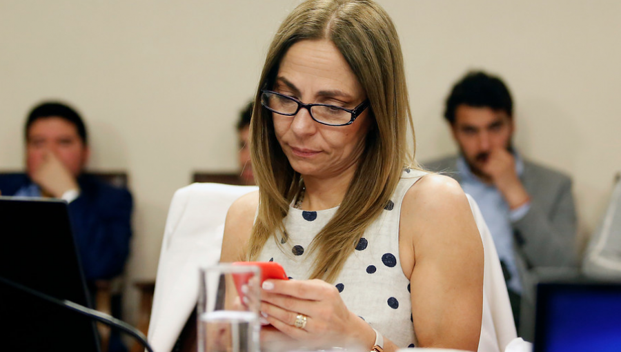 Comisión de Mujeres cita a ministra Plá ante alarmante cifra de femicidios en 2019