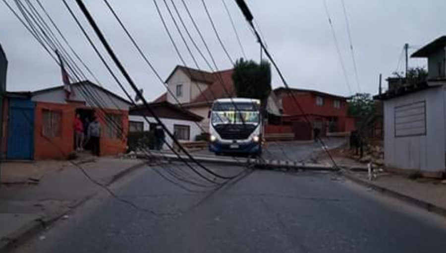 Camión casi provoca tragedia en Viña del Mar: Derribó postes a centímetros de microbús