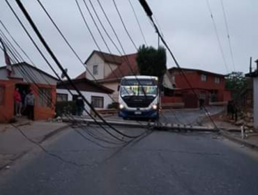 Camión casi provoca tragedia en Viña del Mar: Derribó postes a centímetros de microbús