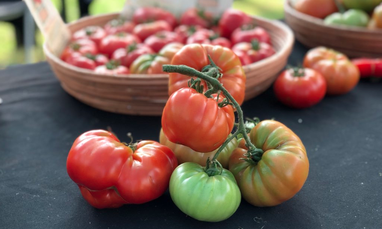 Limache afina los últimos detalles para la gran "Fiesta del Tomate"