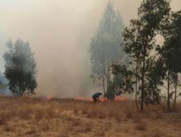 Declaran Alerta Roja en San Antonio por incendio forestal con "comportamiento extremo"