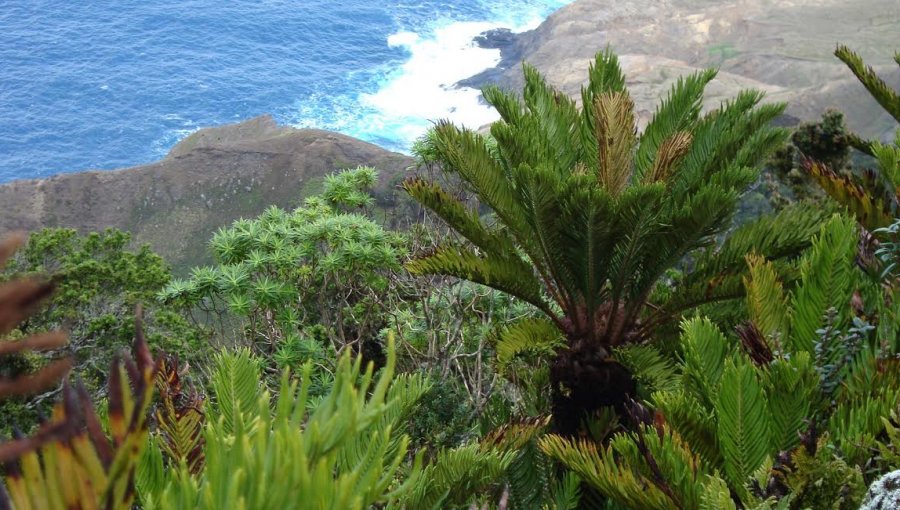 Parque nacional Archipiélago de Juan Fernández celebra sus 84 años de vida