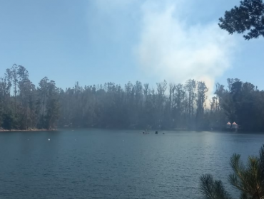 Alerta Roja: Controlan incendio forestal que amenazó a zona poblada de Valparaíso