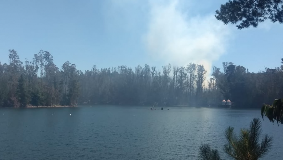 Alerta Roja: Controlan incendio forestal que amenazó a zona poblada de Valparaíso