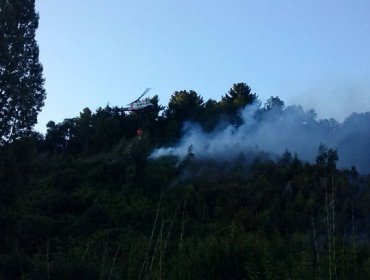 Declaran Alerta Roja en Temuco por incendio en área protegida del cerro Ñielol