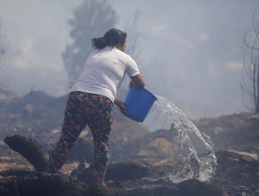 Agricultores afectados por incendio de Santo Domingo recibirán recursos