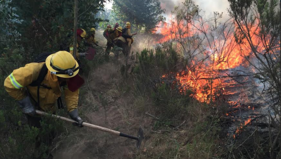 Reiteran llamado a prevenir incendios forestales ante altas temperaturas en la región de Valparaíso