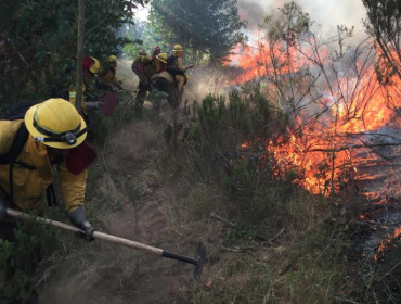 Reiteran llamado a prevenir incendios forestales ante altas temperaturas en la región de Valparaíso