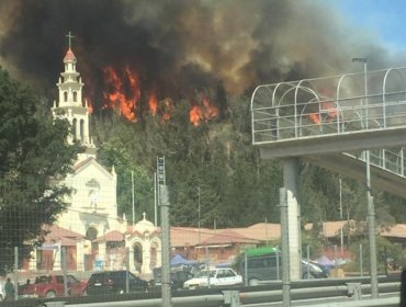 Alerta Roja en Casablanca: Descontrolado incendio arrasa con cerros del sector y consume al menos dos viviendas