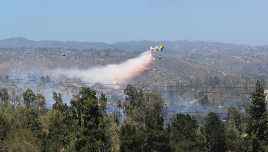 Viña del Mar: 11 Compañías de Bomberos y personal de Conaf acudió a violento incendio en Jardín Botánico