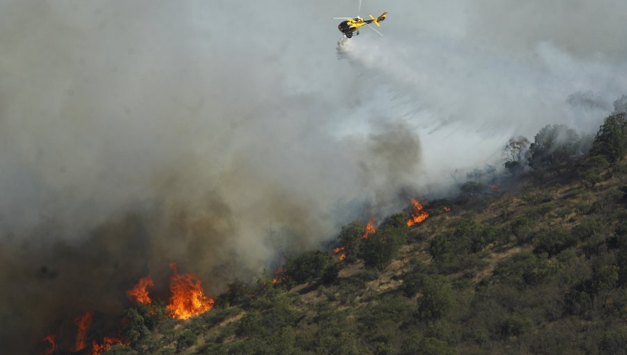 Más de 200 hectáreas ha consumido incendio forestal de "Lo Vásquez"