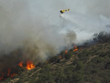 Más de 200 hectáreas ha consumido incendio forestal de "Lo Vásquez"