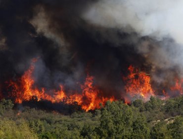 Intendente de Valparaíso advierte a pirómanos: "Lo van a pasar muy mal"