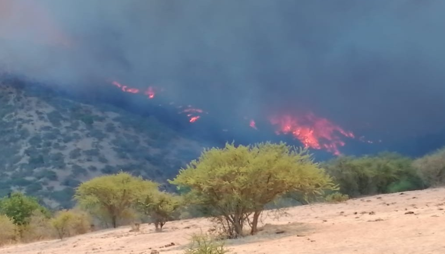 Intendencia de Valparaíso declaró Alerta Roja en San Antonio por incendio forestal en Cuncumen