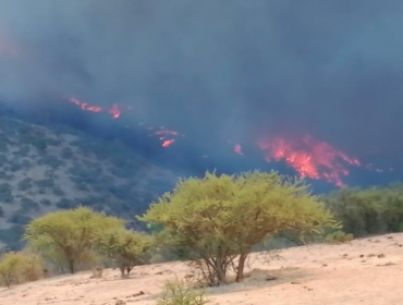 Intendencia de Valparaíso declaró Alerta Roja en San Antonio por incendio forestal en Cuncumen