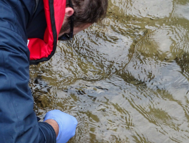 Los Lagos: Sernapesca declara emergencia en lago Yelcho por plaga de dañiña microalga