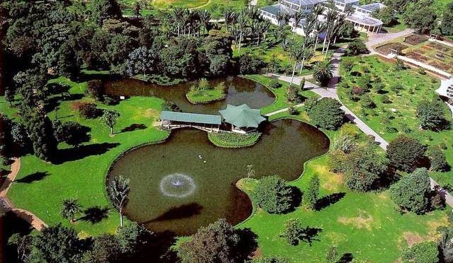 Proponen declarar al Jardín Botánico de Viña como Santuario de la Naturaleza o Parque Intercomunal