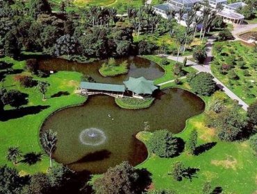 Proponen declarar al Jardín Botánico de Viña como Santuario de la Naturaleza o Parque Intercomunal