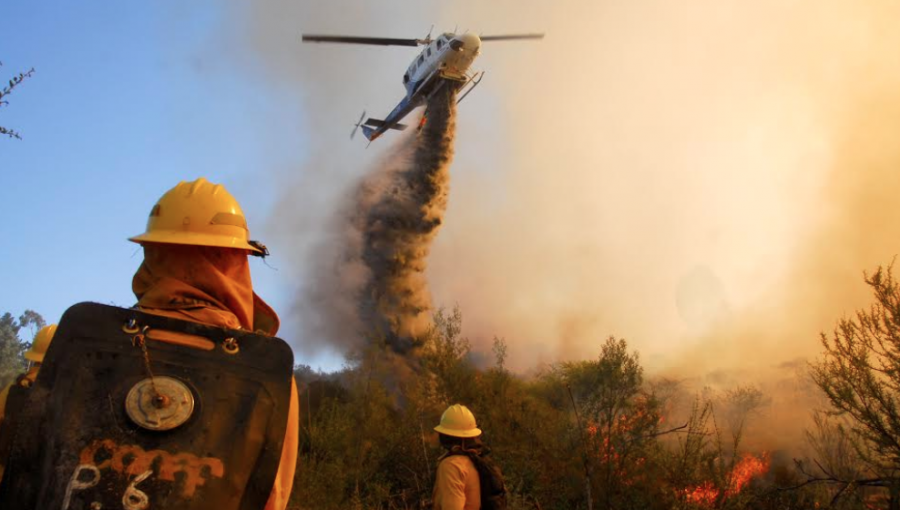 Incendios forestales aumentaron 6% en comparación a periodo anterior, pero superficie quemada bajó un 22%