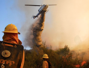 Incendios forestales aumentaron 6% en comparación a periodo anterior, pero superficie quemada bajó un 22%