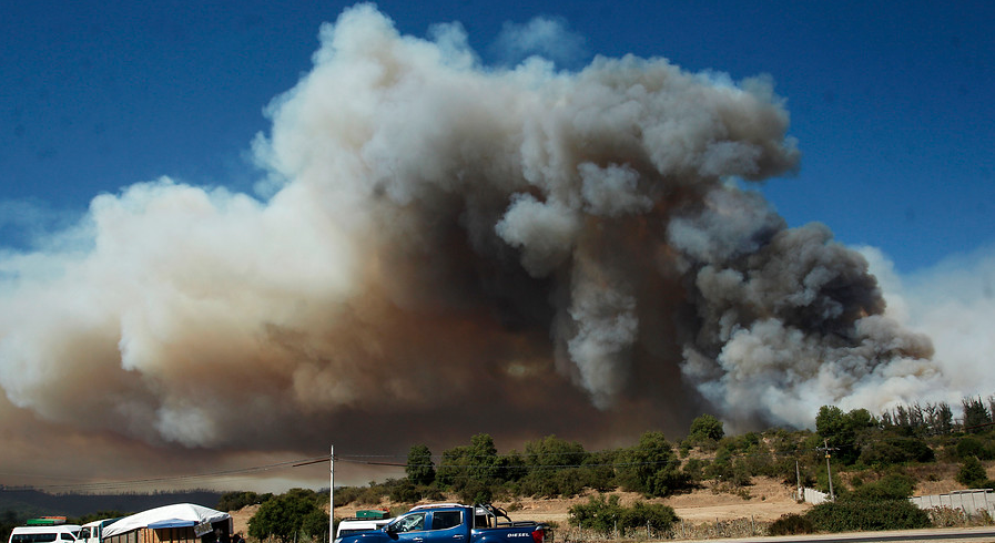 Conaf llama a extremar medidas de prevención ante nueva ola de calor en gran parte de Chile