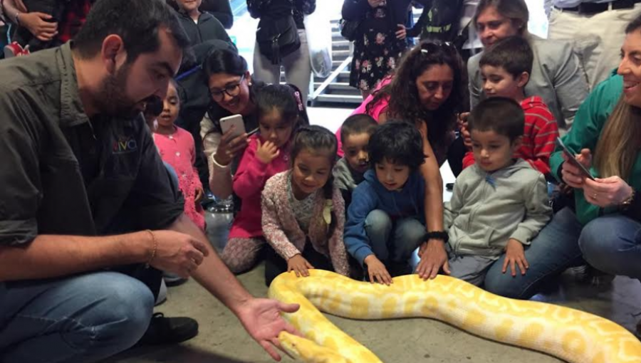 Usuarios de Metro Valparaíso tendrán exclusivo descuento en "Selva Viva y Viva Mar"