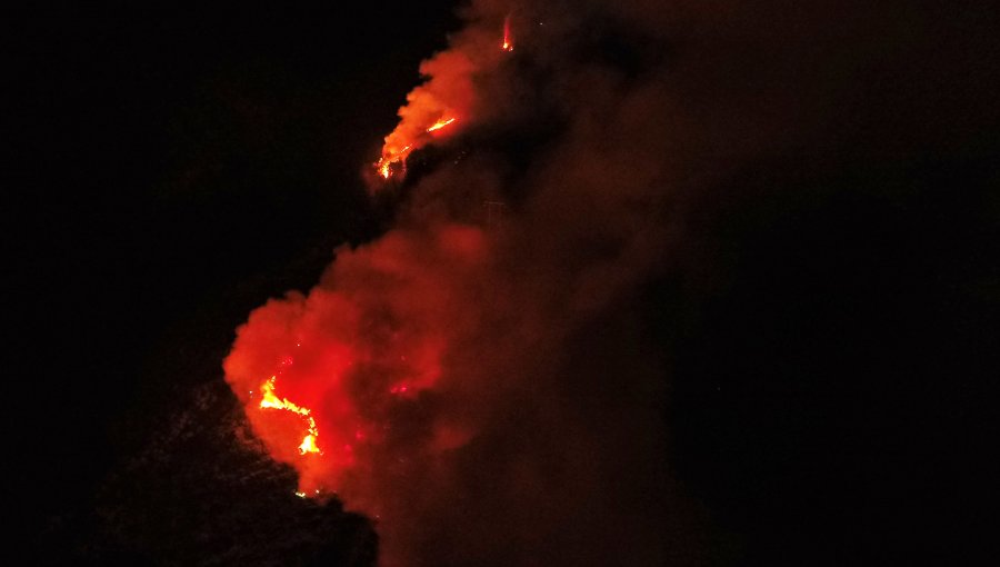 Infierno en La Araucanía: 27 incendios forestales en la región y se declara Alerta Roja