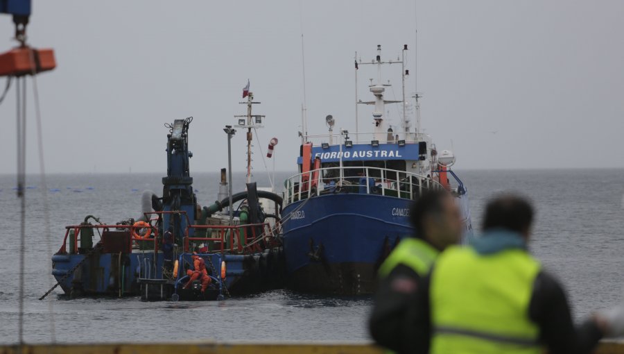 Ventisqueros recuperó 12% de salmones escapados en Quemchi y se descartó daño