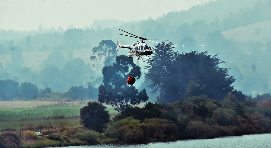 1.049 incendios forestales han consumido 1.692 hectáreas en la región del Biobío