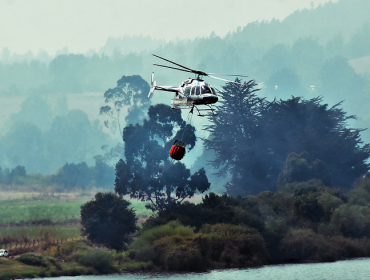 1.049 incendios forestales han consumido 1.692 hectáreas en la región del Biobío