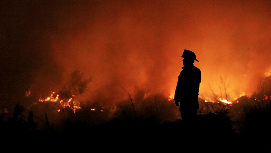 Conaf reportó 108 incendios forestales a nivel nacional