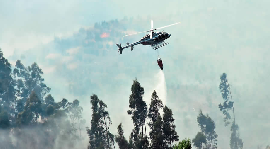 DC solicita más recursos e hidroaviones para combatir incendios en el sur del país