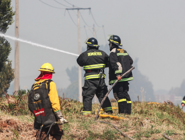 Intendente de La Araucanía advirtió que aplicarán Ley Antiterrorista de comprobar intencionalidad en incendios