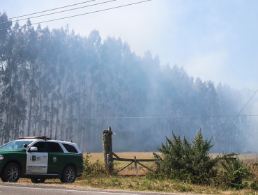 Decretan Estado de Excepción en comunas de tres regiones del sur por incendios forestales