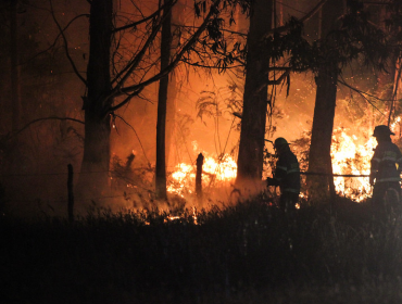 Conaf: 45 de los 92 incendios forestales en el país se encuentran activos