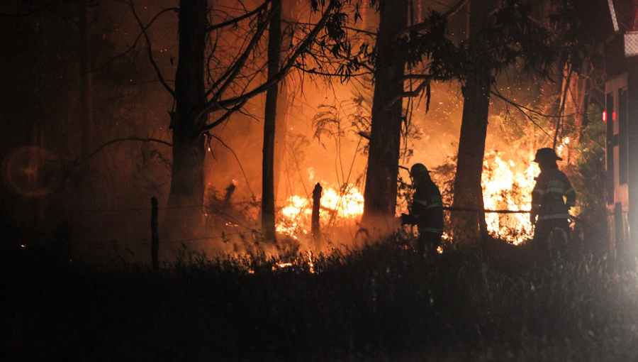 Conaf: 45 de los 92 incendios forestales en el país se encuentran activos