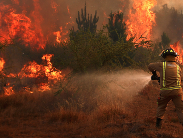 Conaf: 43 de los 139 incendios forestales a nivel nacional se encuentran activos