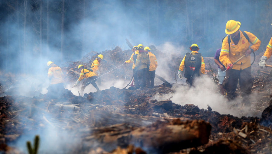 Fiscalía: Hay 15 detenidos por presuntamente iniciar incendios forestales en La Araucanía