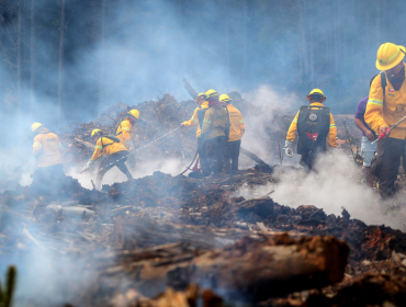 Fiscalía: Hay 15 detenidos por presuntamente iniciar incendios forestales en La Araucanía