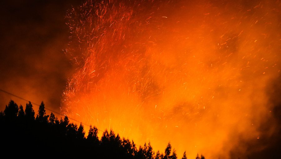 MOP puso a disposición su maquinaria para combatir incendios forestales en La Araucanía