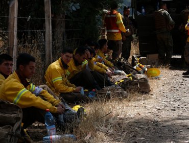 Conaf confirmó tercer ataque a brigadistas que combatían incendios forestales en el sur