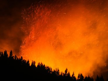 MOP puso a disposición su maquinaria para combatir incendios forestales en La Araucanía