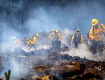 Unas 10 mil personas están sin suministro de agua potable en Carahue, Galvarino y Cholchol