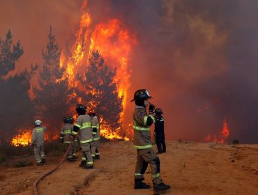 Incendios forestales han consumido más de 1.900 hectáreas en la región del Biobío