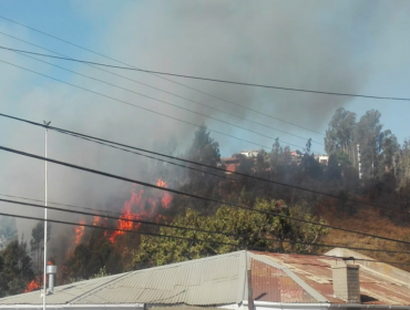 Incendio forestal en Santos Ossa amenaza a zona residencial y a unidad de Carabineros