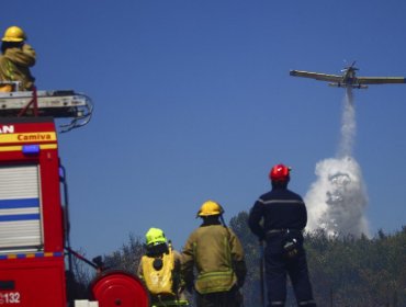 Alerta Roja en dos comunas de Ñuble por incendio forestal: no descartan intencionalidad