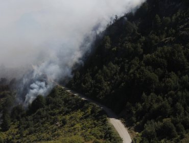 Onemi: 27 de los 74 incendios forestales en la zona centro sur se encuentran activos