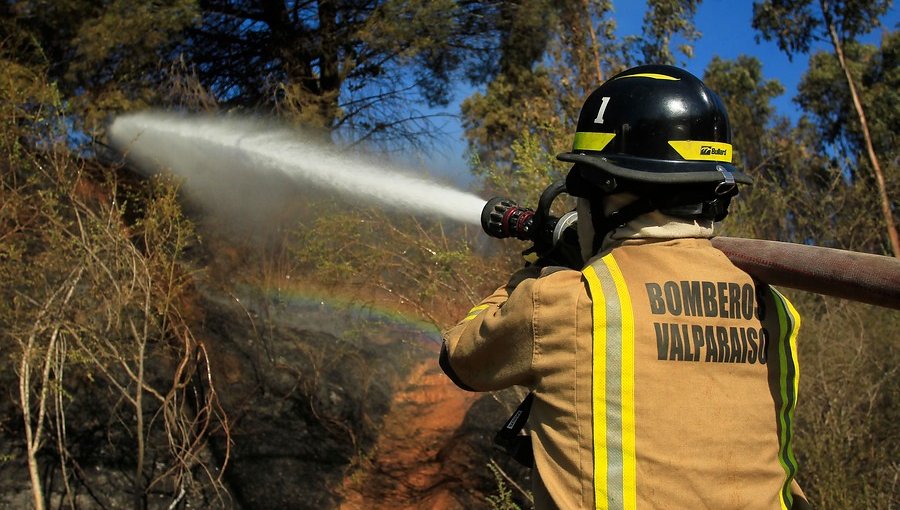 Ministerio de Agricultura prevé que incendios forestales se trasladarán a la zona central