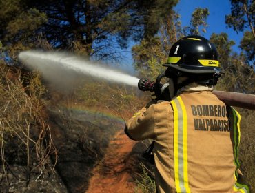 Ministerio de Agricultura prevé que incendios forestales se trasladarán a la zona central